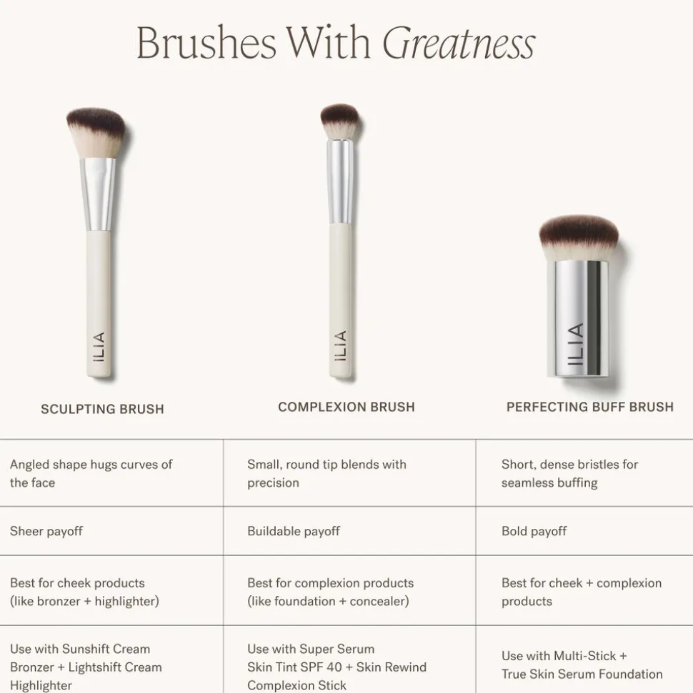 221 Eyeshadow Smudger Brush