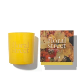 A Fragrance Trio