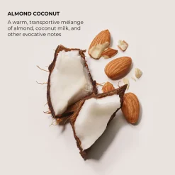 Almond Coconut Eau De Parfum