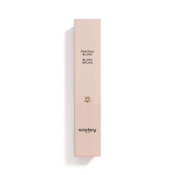 Angled Cheek Contour Brush