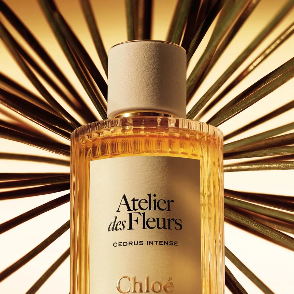 Atelier des Fleurs Cedrus Intense Eau de Parfum