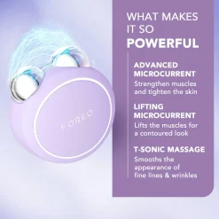 BEAR 2 go Lavender