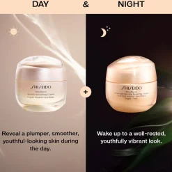 Benefiance Overnight Wrinkle Resisting Cream 50ML