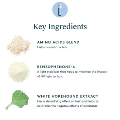 Chitosan™ Pre-Style Cream (Curly to Coily - Light Conditioning)