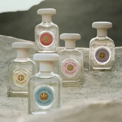 Cosmic Wood Eau de Parfum 90ML