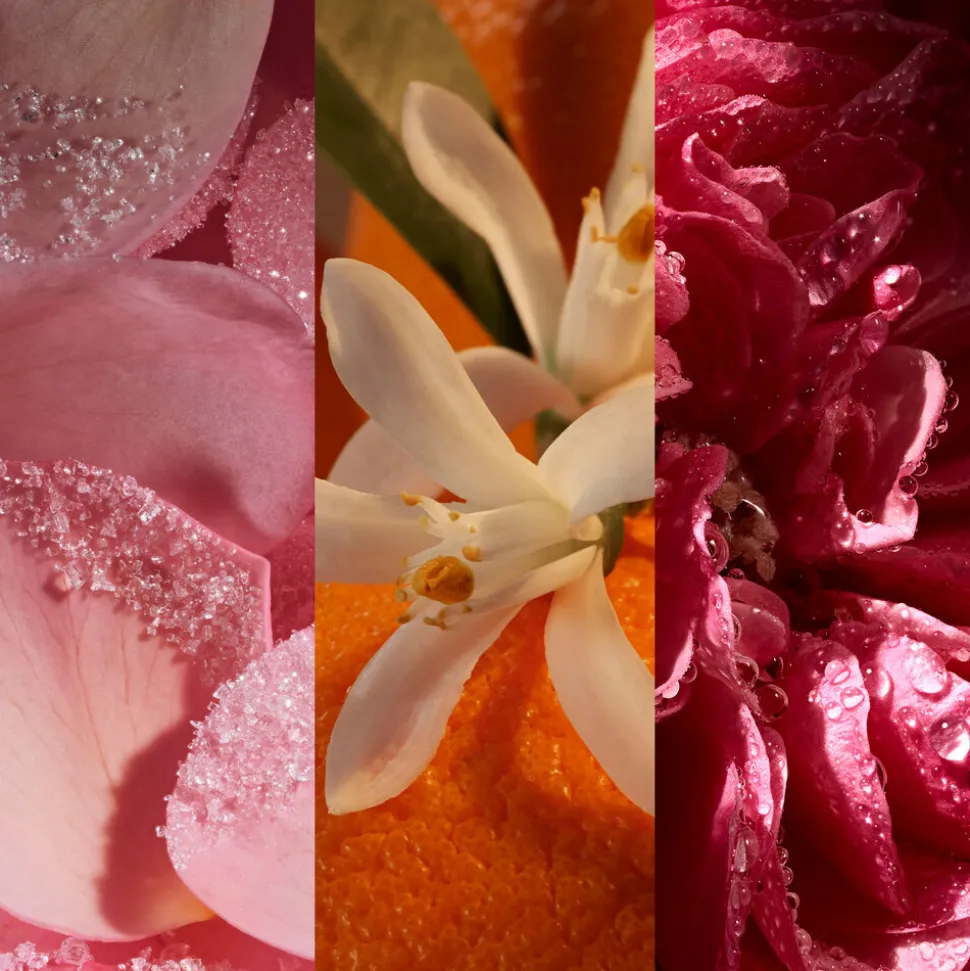 Elixir Fragrance Collection