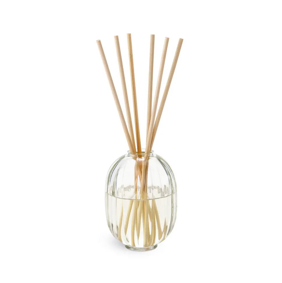 Ex Vetiver Discovery Set