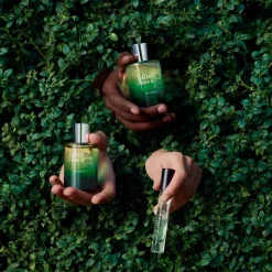 Ex Vetiver Eau De Parfum