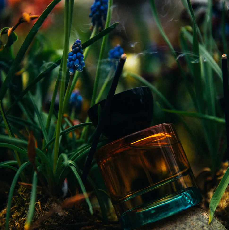 Free 00 Eau De Parfum 50ML