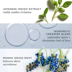 Indigo Overnight Repair 50ML