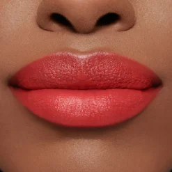 Insanely Saturated Lip Colour