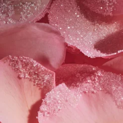 Lalla la Rose Eau De Parfum 100ML