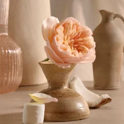 Lalla la Rose Eau De Parfum 100ML