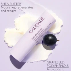 Lip Conditioner 5G