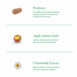 Niacinamide Serum 12% Plus Zinc 2% 30ML