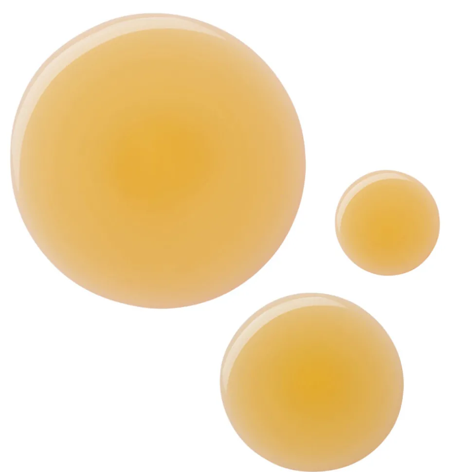 Parsley Seed Intense Serum 60ML