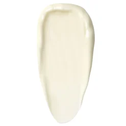 Perfectionniste Complexion Brush