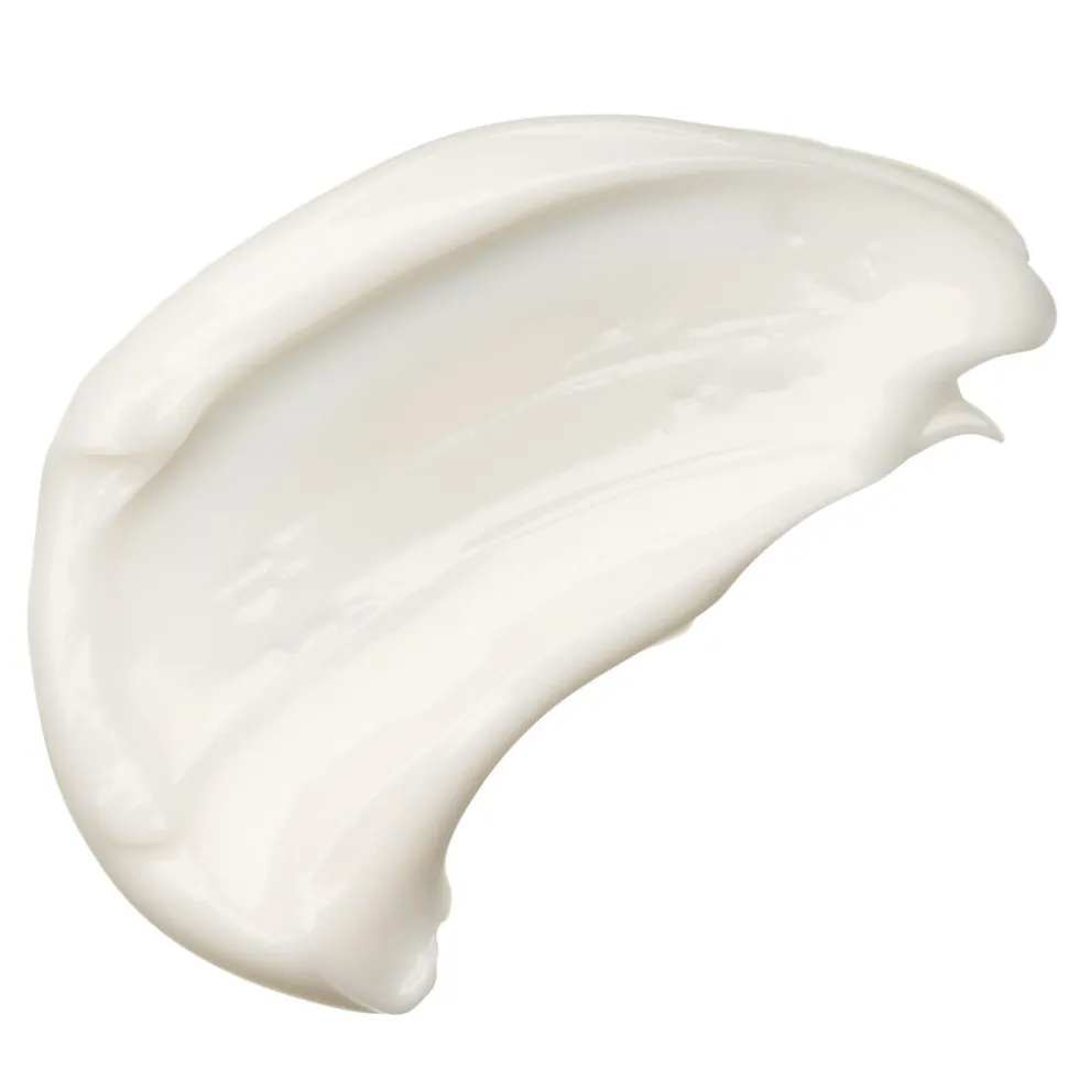 Priming Moisturizer Rich Face Cream