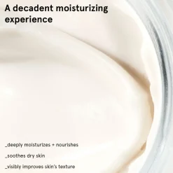 Priming Moisturizer Rich Face Cream