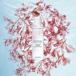 Purifying and Exfoliating Phytoactive Solution 100ML