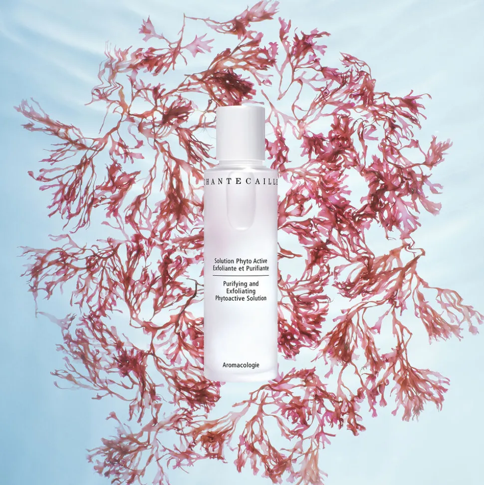 Purifying and Exfoliating Phytoactive Solution 100ML