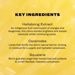 Renaissance Cleansing Gel Illuminating Vitamin Melting Cleanser 35ML