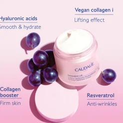 Resveratrol-Lift Firming Cashmere Cream Refill 50ML