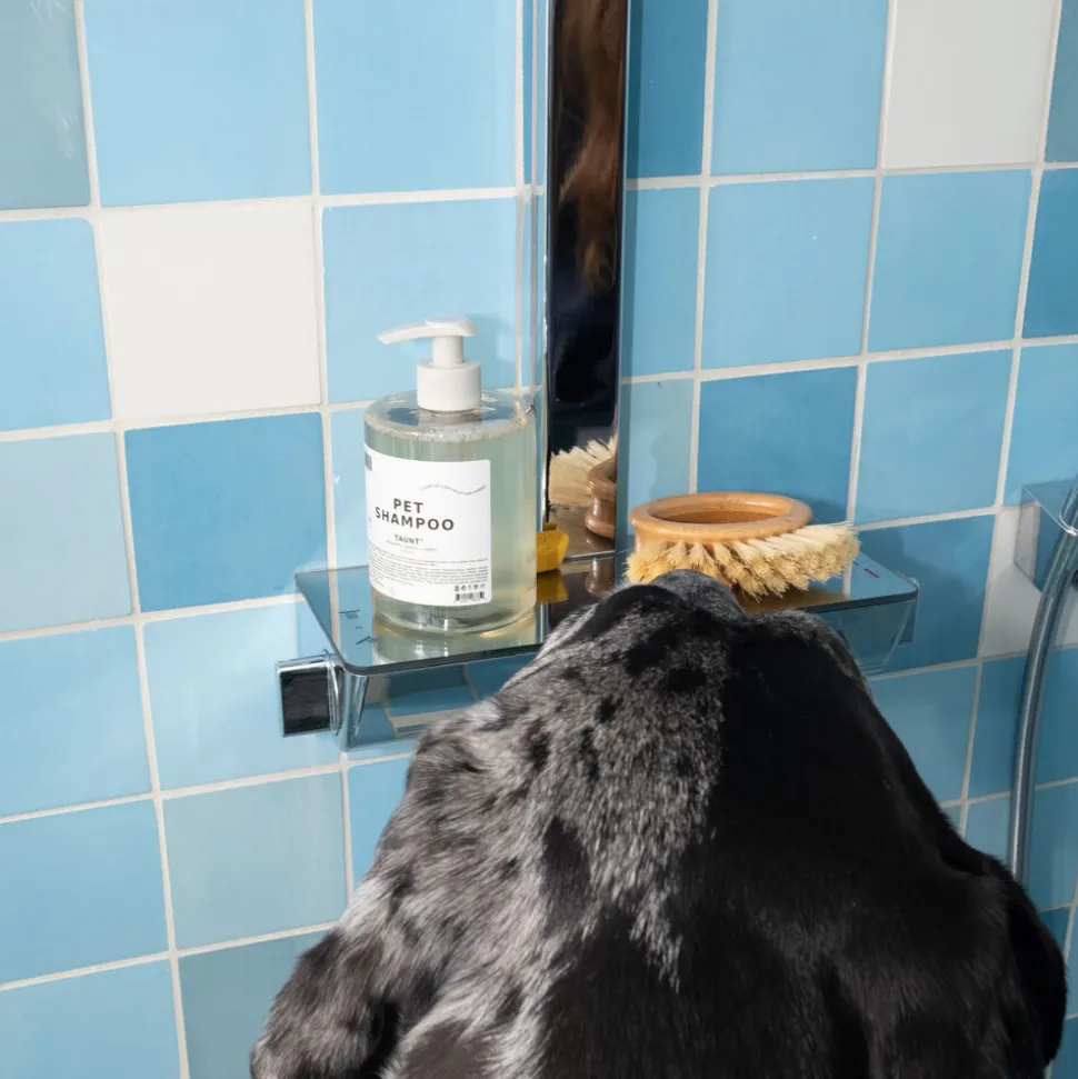 Revive Repairing Shampoo & Conditioner Bundle