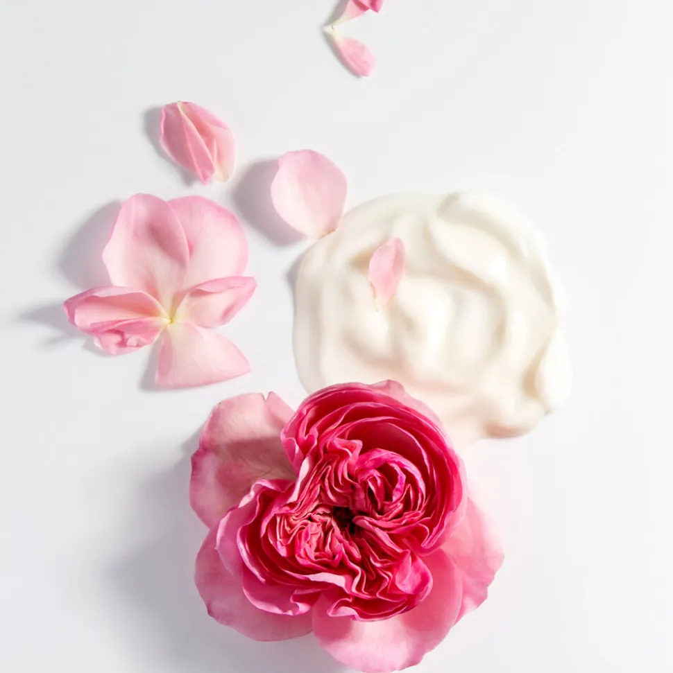 Rose de Mai Cream 50ML