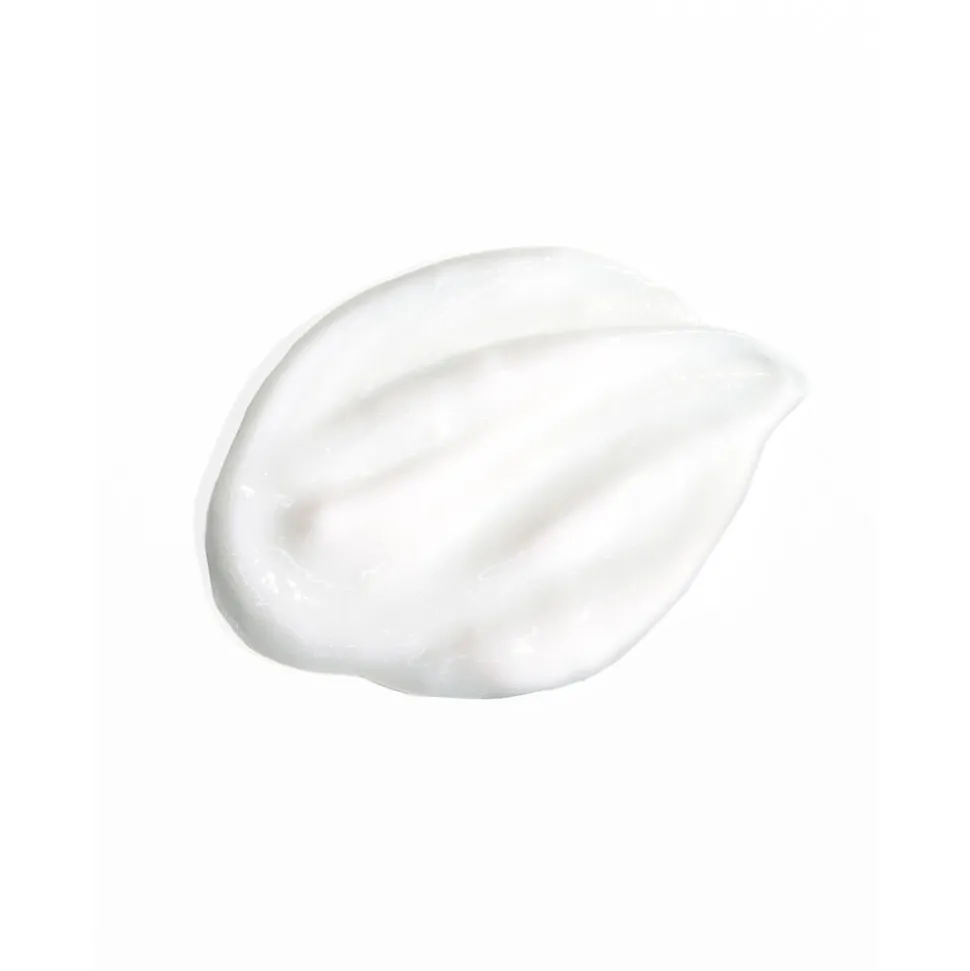 Signature Shampoo 75ML
