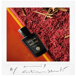 Signatures of the Sun Oud & Spice Eau de Parfum 100ML