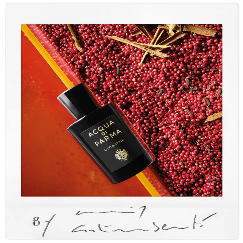 Signatures of the Sun Oud & Spice Eau de Parfum 100ML