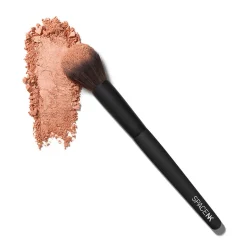 Skin2Skin Blush Brush