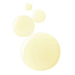 Slow Dance Eau de Parfum 100ML