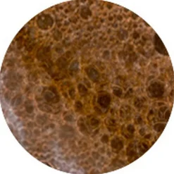 Sunny Honey Bali Bronzing Foam 200ML