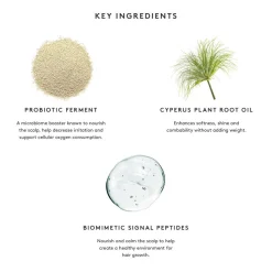 Super Dry Shampoo Melrose Place