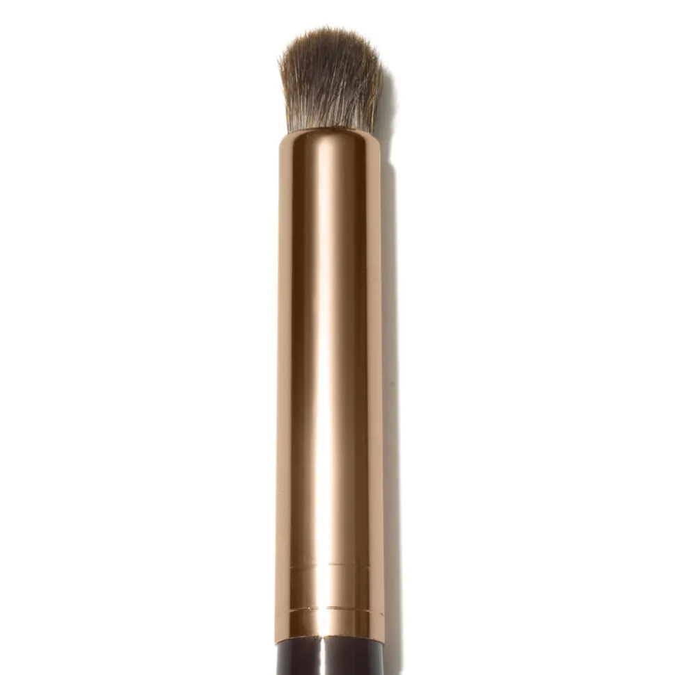 The Brush