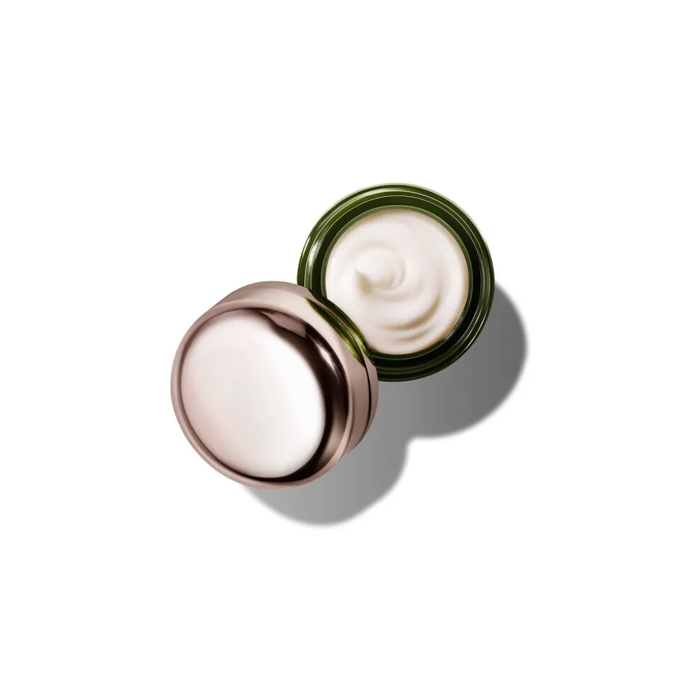 The Eye Concentrate 15ML