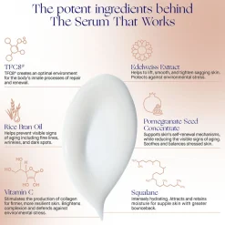 The Serum 50ML