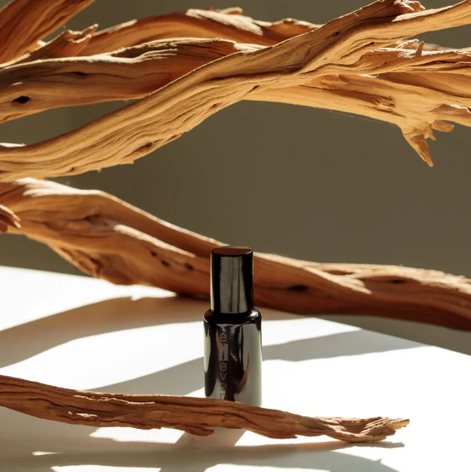 The Shampoo 250ML