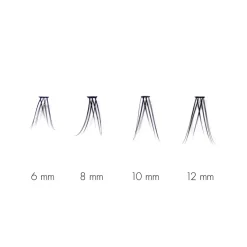 The Signature No Lash Lash