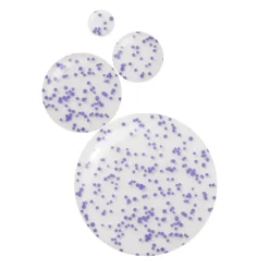 Violet Water Clearing Cleanser Blemish Control Facial Cleansing Gel 100ML