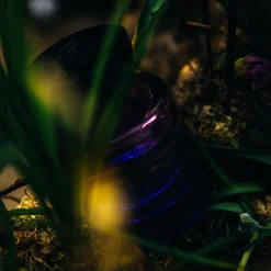 Witchy Woo Eau De Parfum 50ML